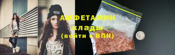 прущие грибы Володарск