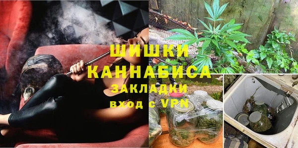 ПСИЛОЦИБИНОВЫЕ ГРИБЫ Верхнеуральск