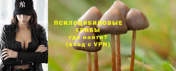 а пвп мука Верея