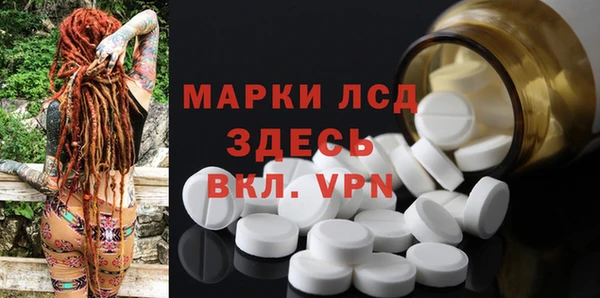 ПСИЛОЦИБИНОВЫЕ ГРИБЫ Верхнеуральск