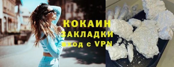 прущие грибы Володарск
